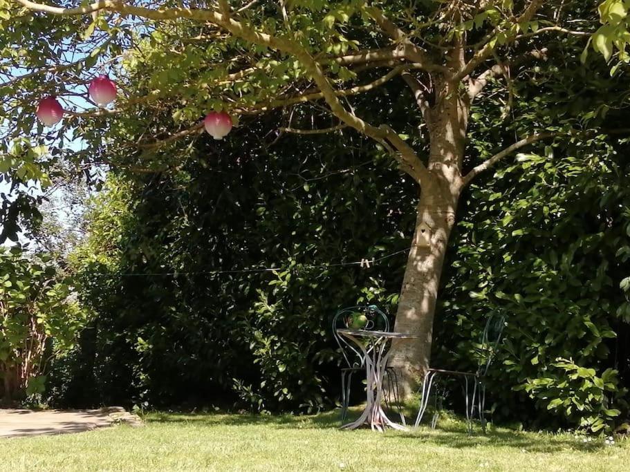 Le Gite D'Eva Honfleur Esterno foto