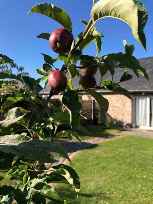 Le Gite D'Eva Honfleur Esterno foto